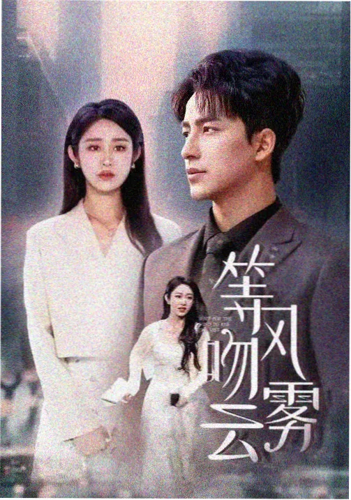 不眠档案馆 电视剧在线观看封面